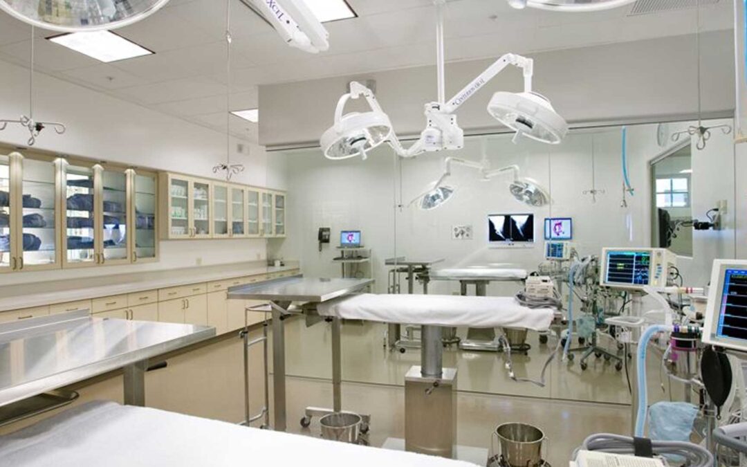 Maximizing the Lifespan of Your Veterinary Equipment: Tips and Tricks