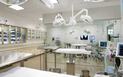 Maximizing the Lifespan of Your Veterinary Equipment: Tips and Tricks