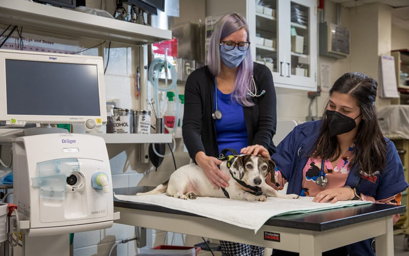 Anderson's-Biomedical---Veterinary-Medical-Equipment-We-Care(1)